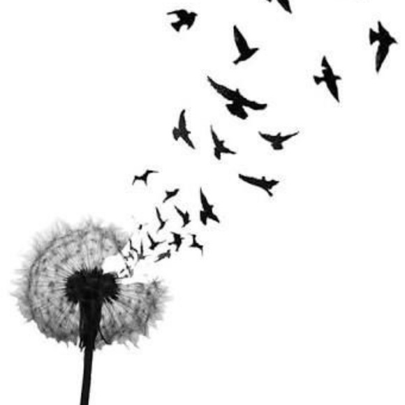 Meet your Posher, Kathleen - Picture 2 of 2